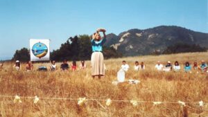 Medicine wheel post 2