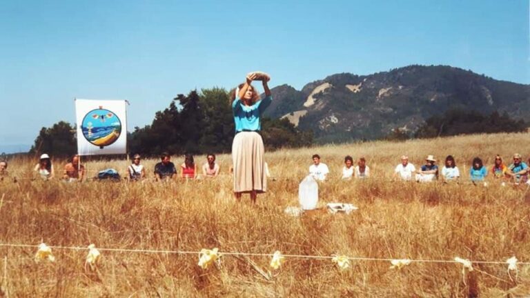 Medicine wheel post 2