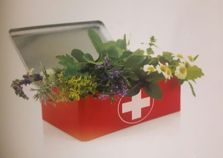 herbal-first-aid-box-2